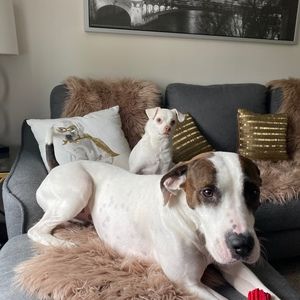 Meet your Posher, Posh